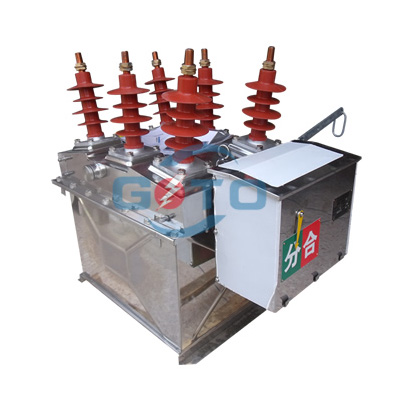 Strength factory (company profile)